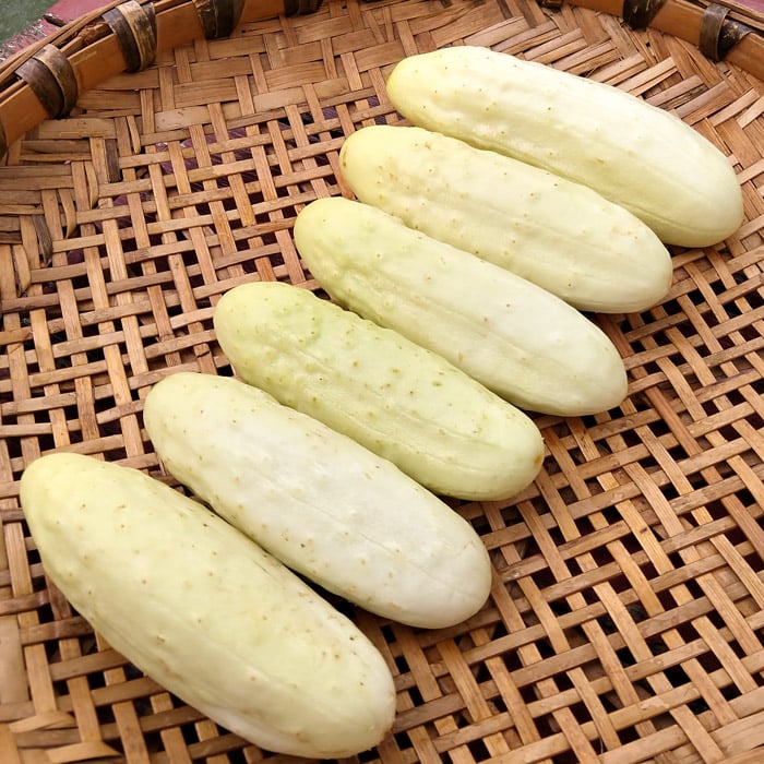 Cucumber, White Heron (Organic)