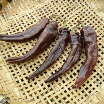 Organic Vallero Hot Pepper Seeds