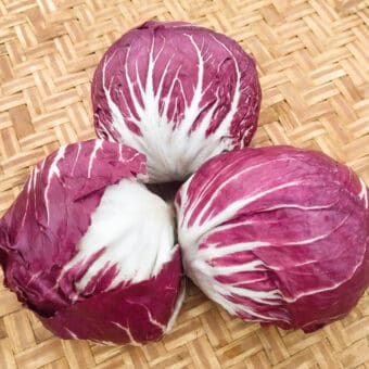 Organic Palla Rossa Melot Radicchio seed