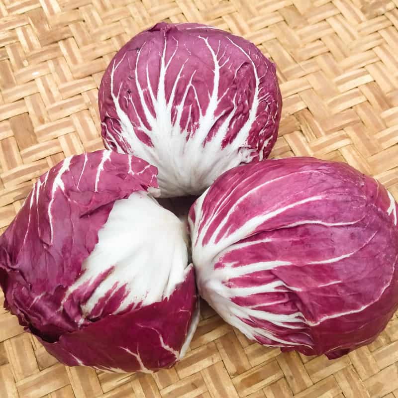 Organic Palla Rossa Melot Radicchio seed