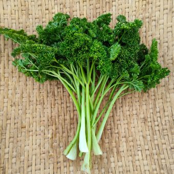 Parsley, Forest Green Organic Forest Green Parsley Seed