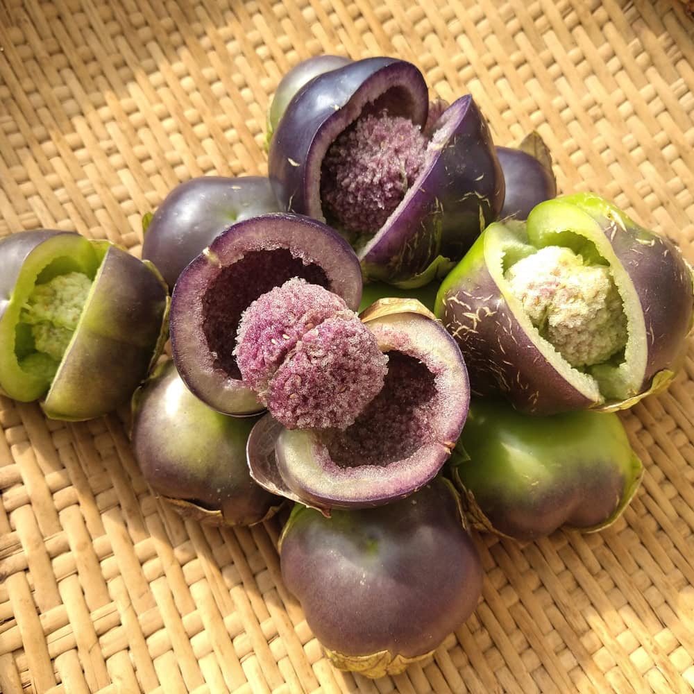 Organic Amethyst & Emerald Geodes Tomatillo seeds