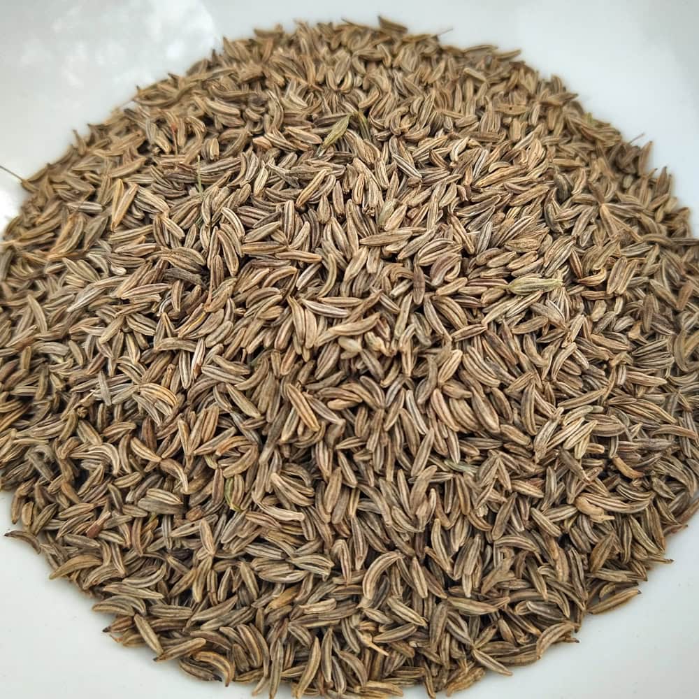 Organic Sprinter Caraway Seed