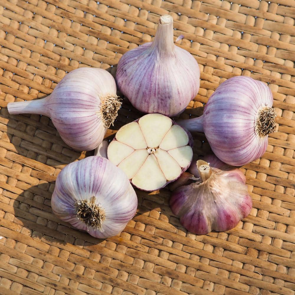 Organic Zeramarez Garlic Seed