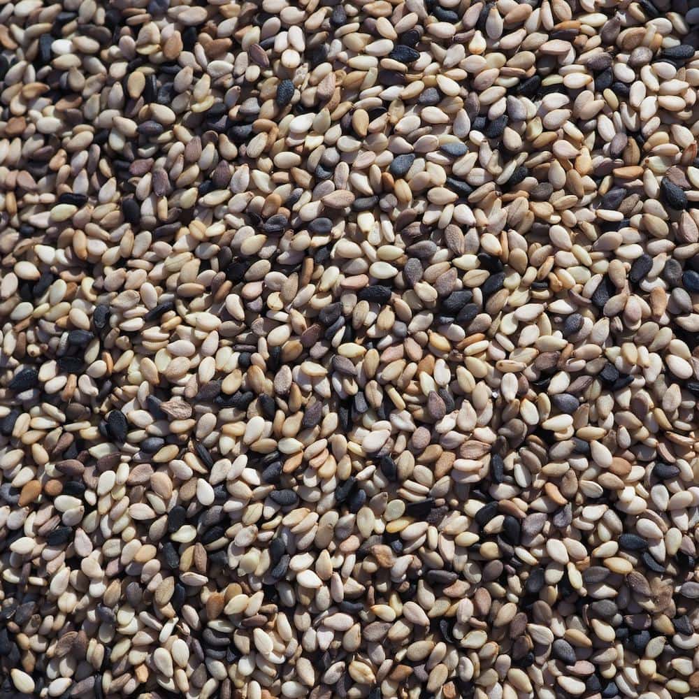 Organic Northern Sesame Supergroup Seed