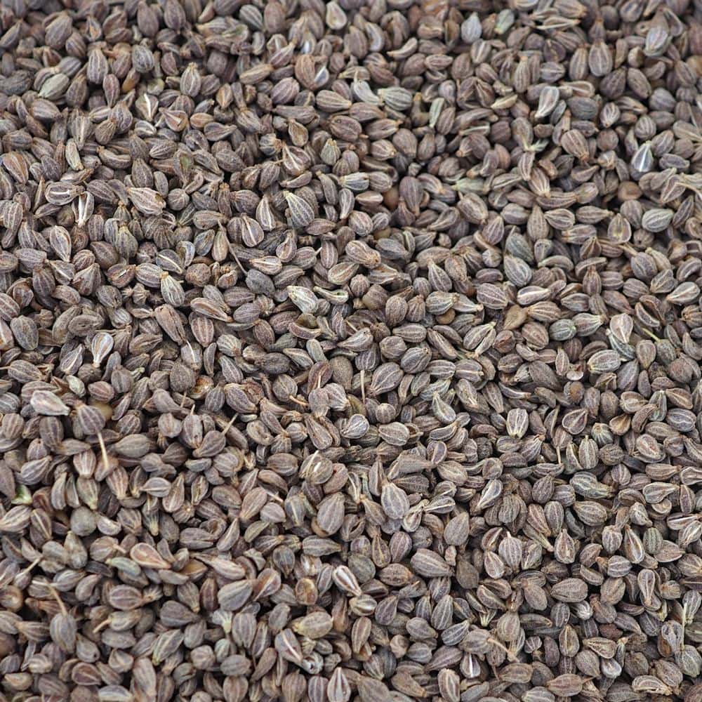 Organic Anise Seed