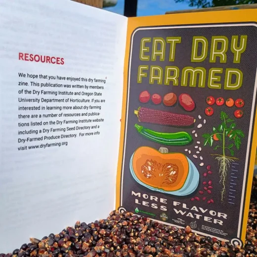 Dry Farming Zine - Image 3